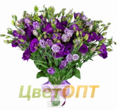 Букет из экзотики № 9
