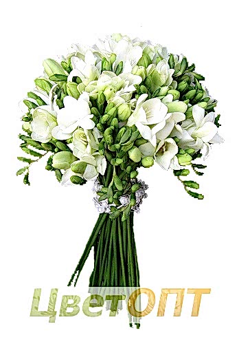 Букет из 25 фрезий