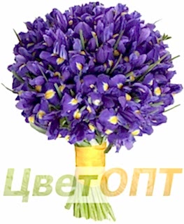 Букет из ирисов № 4