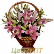 Корзина с лилией №10